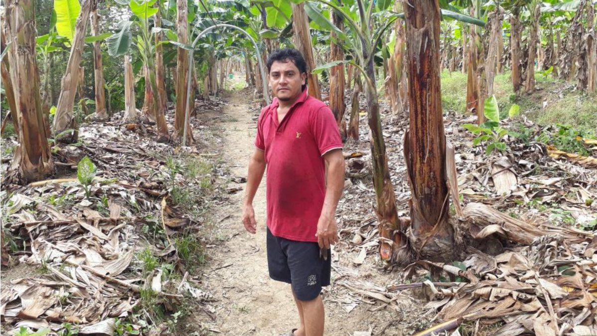 kiva impact report